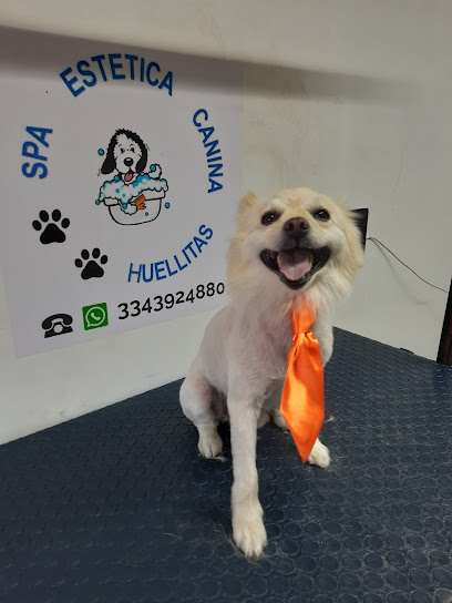 Negocio Huellitas Spa Estética Canina