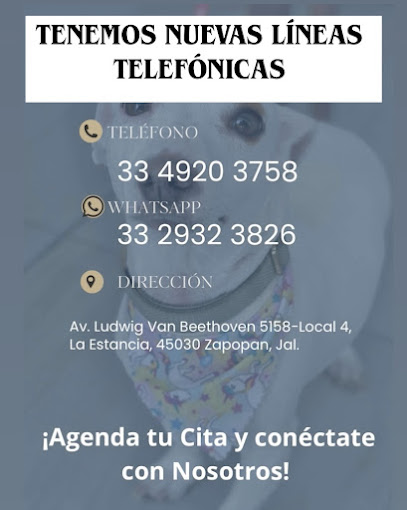 Imperio Estética Canina