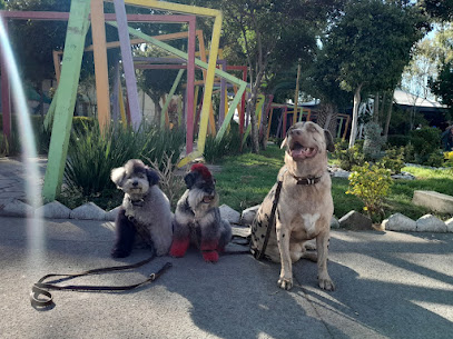 Indy Dog´s
