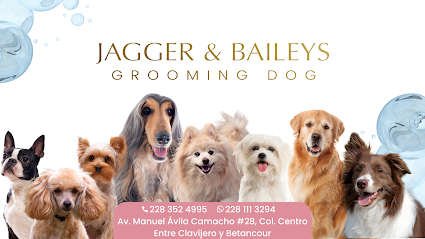 Negocio Jagger &Amp; Baileys Dog Grooming - Estética Canina Y Pet Shop