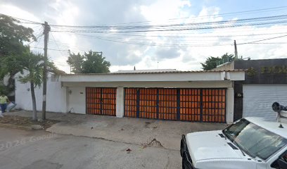 Juanelo Estetica Canina