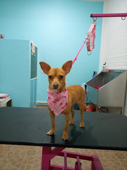K-Nina Estética, Spa &Amp; Grooming