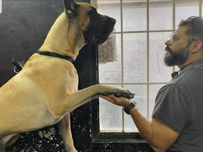 Kanino Vidal Estetica Canina