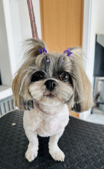 Negocio Karen Salgado Alta Peluqueria Canina
