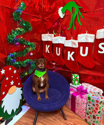 Negocio Kukus Pet Grooming