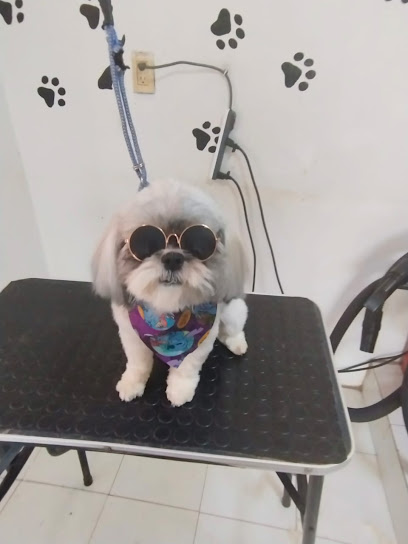 Negocio La Chabela Estetica Canina