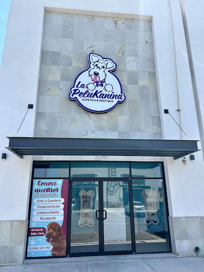 La Pelukanina Plaza Aria