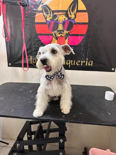 La Perruqueria