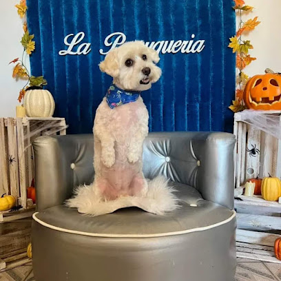La Perruqueria Estética Canina Y Felina