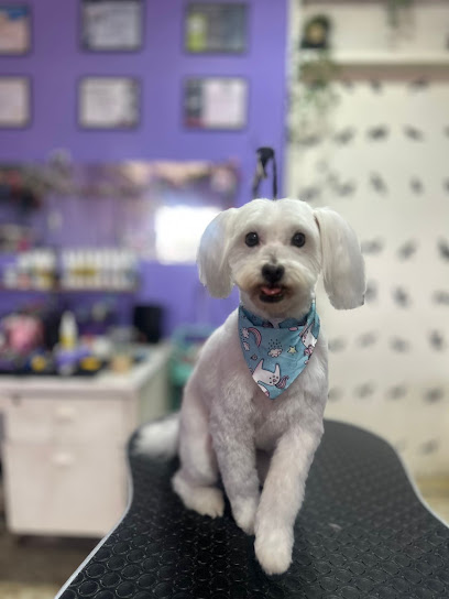 Negocio La Petluquería - Estética Canina Profesional