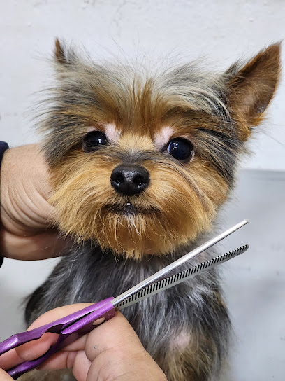 Negocio Las Maskotas | Estética Canina &Amp; Veterinaria