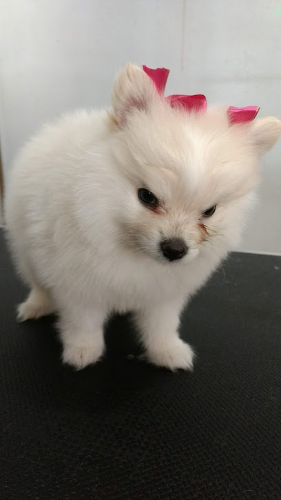 Negocio Lulú Estetica Canina