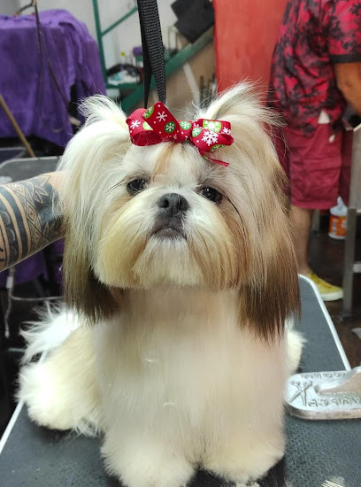 Majo&Apos;S Pet Grooming