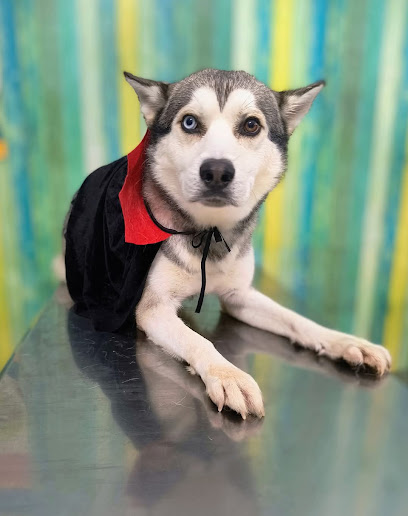 Negocio Majocan Veterinaria Y Estética Canina