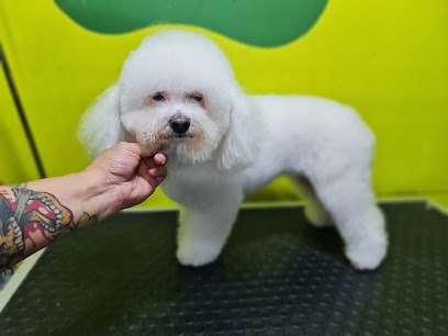 Negocio Manchas Estética Canina