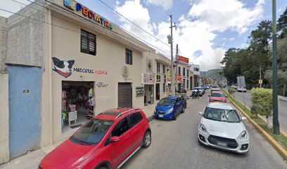Mascotas Alegría