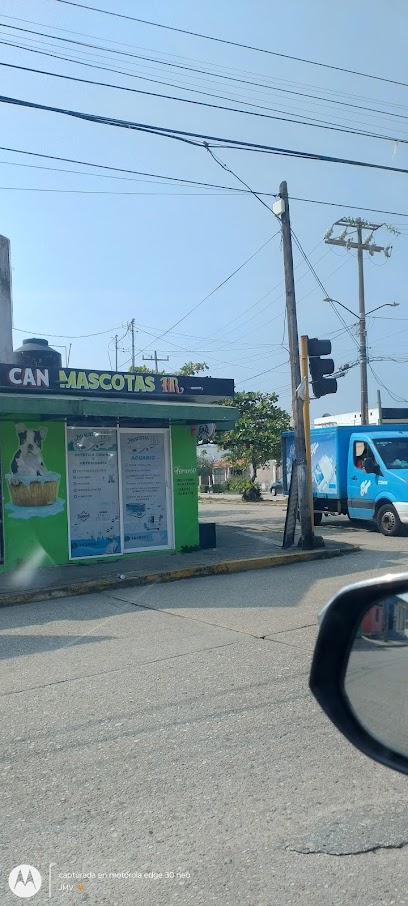 Negocio Mascotas Hr Estetica Canina Y Veterinaria