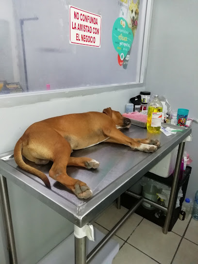 Negocio Mascotitas Clinica Veterinaria Y Estética Canina