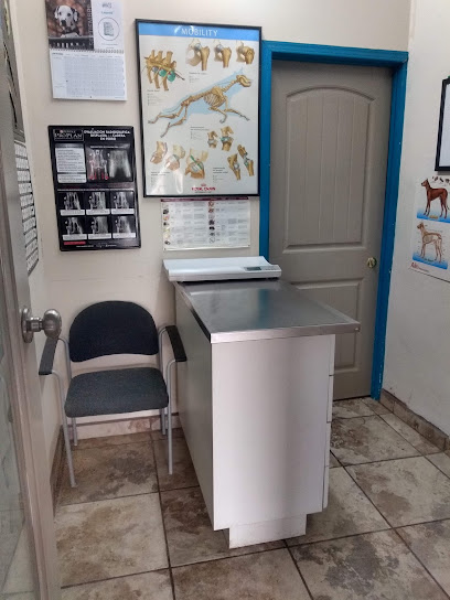 Negocio Masvet Clínica Veterinaria, Baño Medicado Y Estética Canina En Ensenada