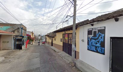 Negocio Medial-Vet Clínica Veterinaria