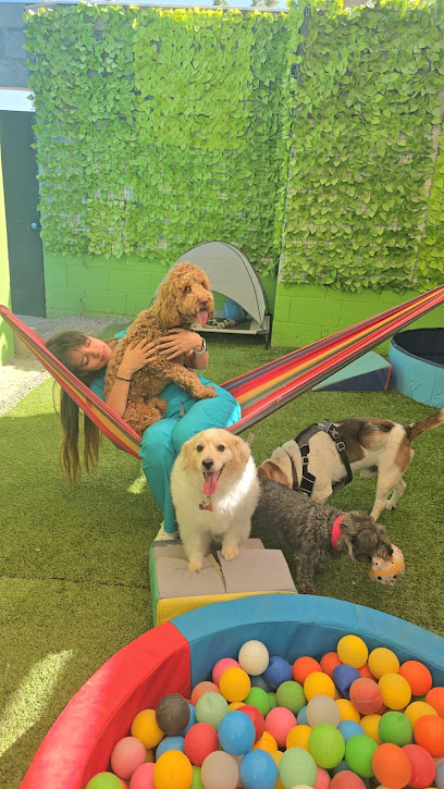 Negocio Medivet Center
