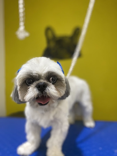 Negocio Mi Veterinaria