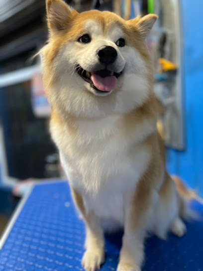 Negocio Mila Mascotas