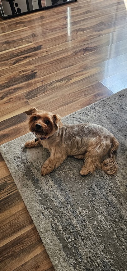 Misha´s Cc Estetica Canina