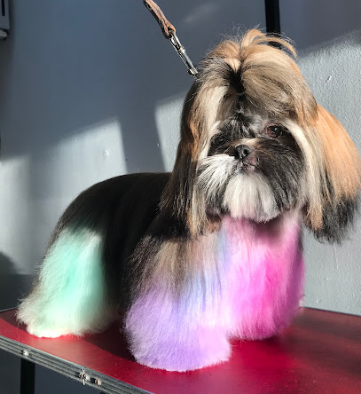 Mobe Estética Canina
