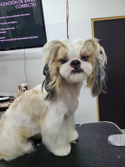 Monarkan Alta Peluquería Canina