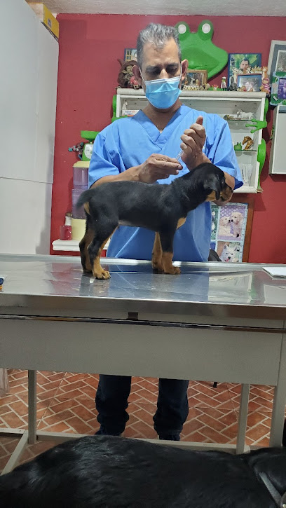 Mundo Animal