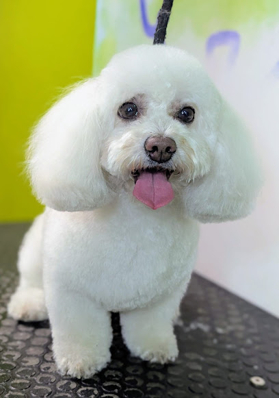 Mutts Estética Canina