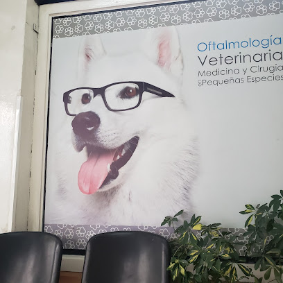 Oftalmologo Veterinario Dr. Sergio RodrĂguez Bazán