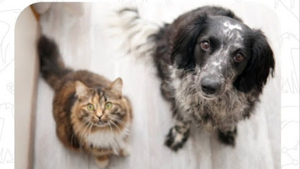 Osiris Pet´s, Boutique Veterinaria