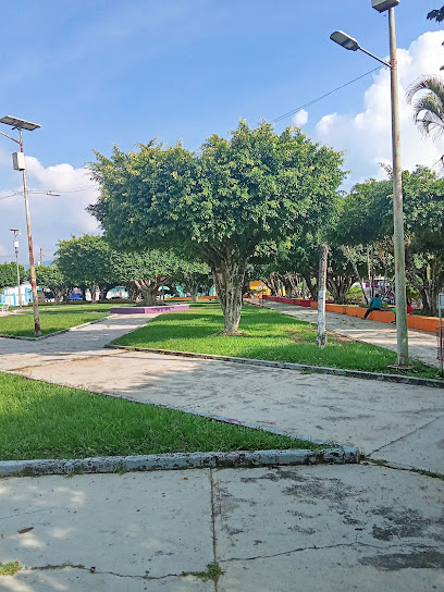 Negocio Parque Central