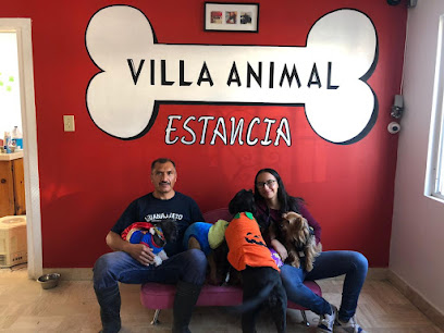 Patitas Estancia Y Guarderia