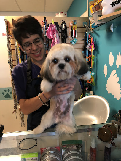 Paw Spa De Mascotas
