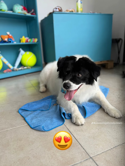 Pawsome Pets