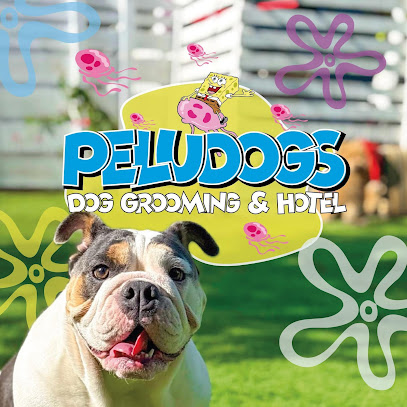 Negocio Peludogs Centro