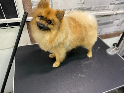 Peludos Guapos