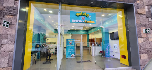 Negocio Peluka Estética Canina