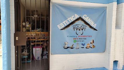 Pequeludos Estética Canina Y Croqueteria