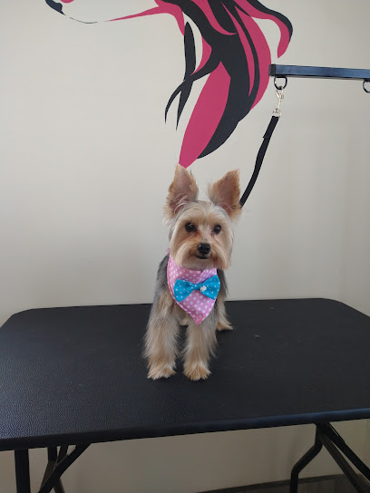 Perrísima Estética Canina