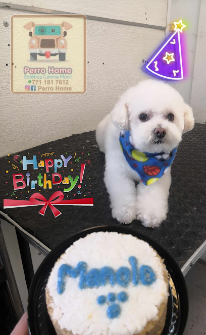 Perro-Home Estética Canina Móvil Pachuca