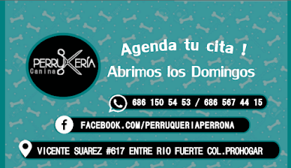 Negocio Perruqueria Canina