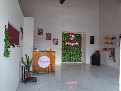 Perruqueria Colima