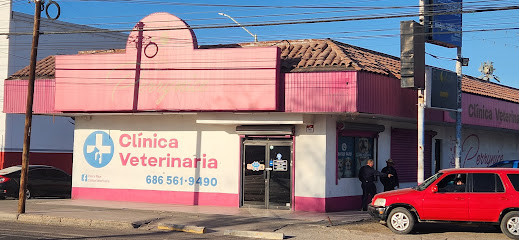 Negocio Perrynice Clinica Veterinaria