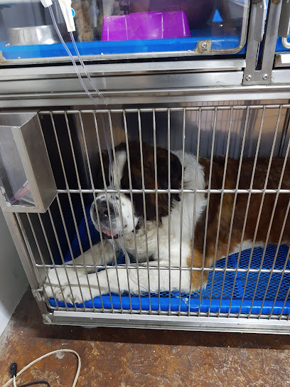 Pet Care Brujas