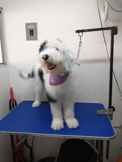 Pet Care Veterinaria