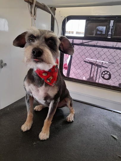 Negocio Pet Friends Estetica Canina